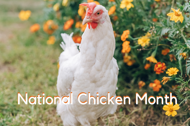 National Chicken Month
