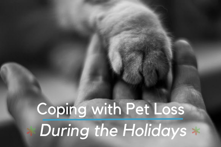 Pet Loss During the Holidays
