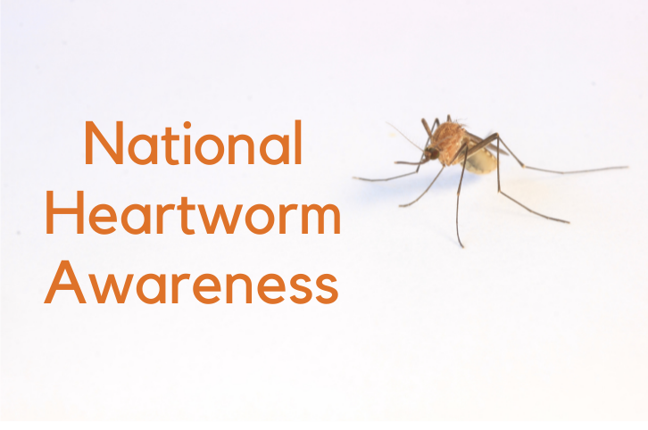National Heartworm Awareness Month