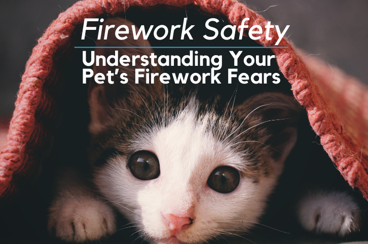 Firework Safety – Understanding Your Pet’s Firework Fears