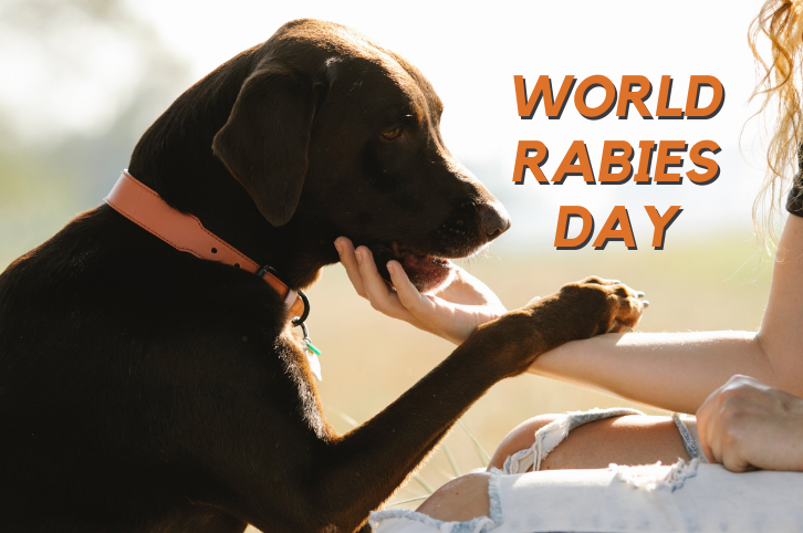 World Rabies Day: Celebrating the Importance of Rabies Prevention