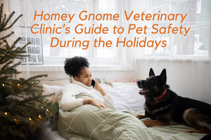 Homey Gnome Veterinary Clinic’s Guide to Pet Safety During the Holidays
