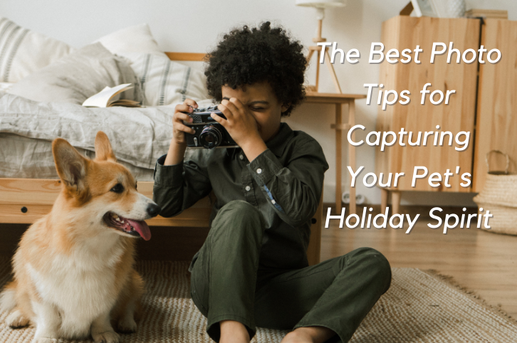 The Best Photo Tips for Capturing Your Pet’s Holiday Spirit