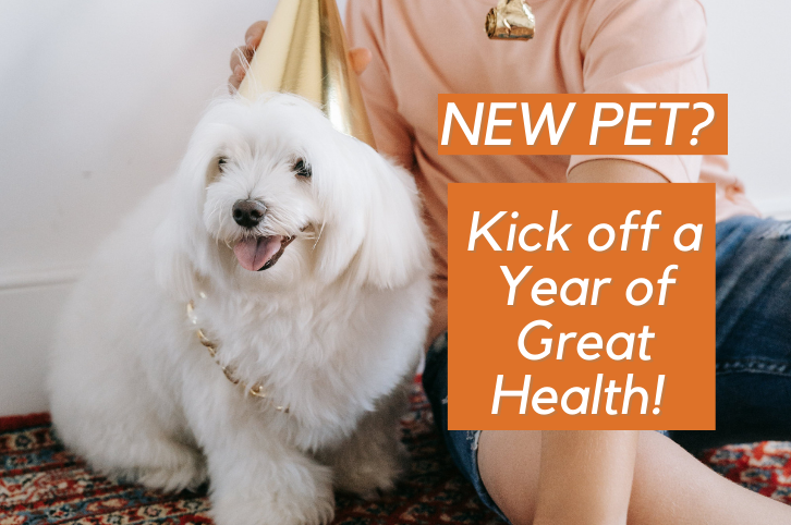 New Pet? Kick off a Year of Great Health!