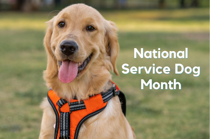 National Service Dog Month